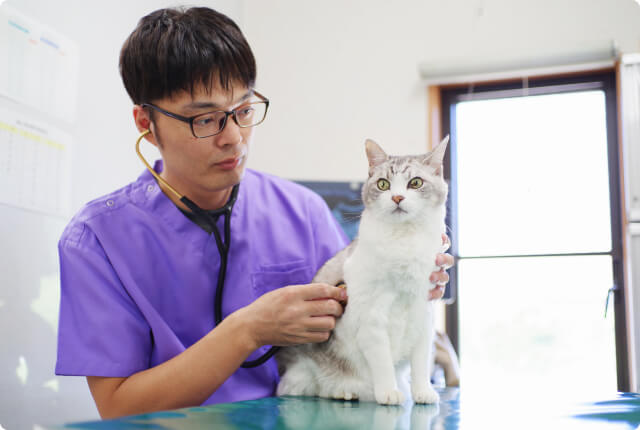 予防こそ最大の治療。健康な毎日を。