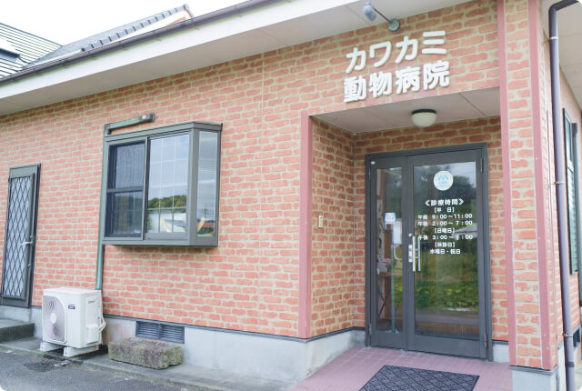 普段の診療から高度医療の紹介まで様々な病気の治療を提供いたします。