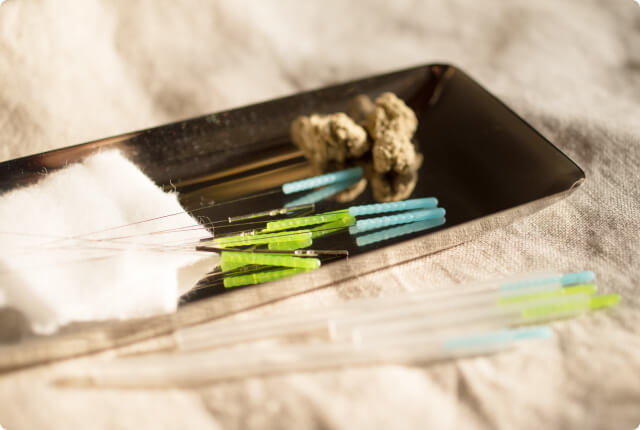 体の内側から不調を改善させる東洋獣医学のアプローチが可能です。